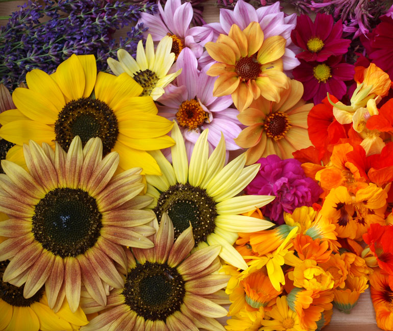 Fleurs, bouquets, décorations et produits de Pollen - Fabienne Saur-Kohler