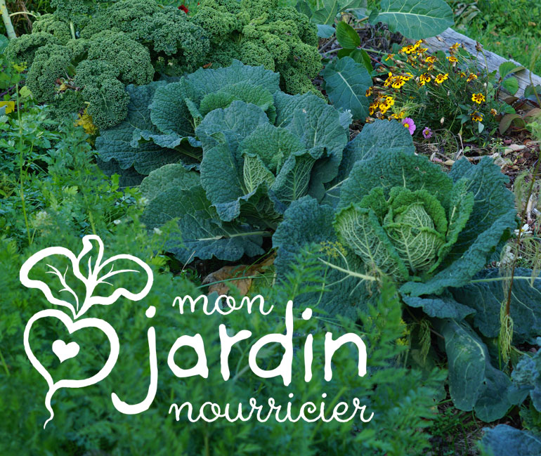 Mon Jardin Nourricier - Noëlle Guillot - Stages en permaculture, éco-jardinage et jardinage au naturel Mon Jardin Nourricier - Noëlle Guillot - Stages en permaculture, éco-jardinage et jardinage au naturel