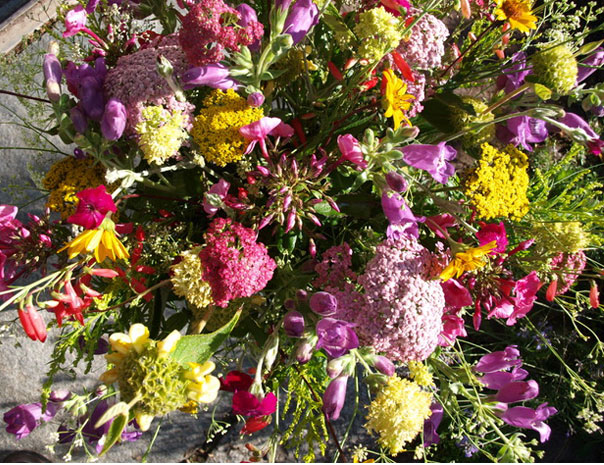 Bouquet de fleurs variées