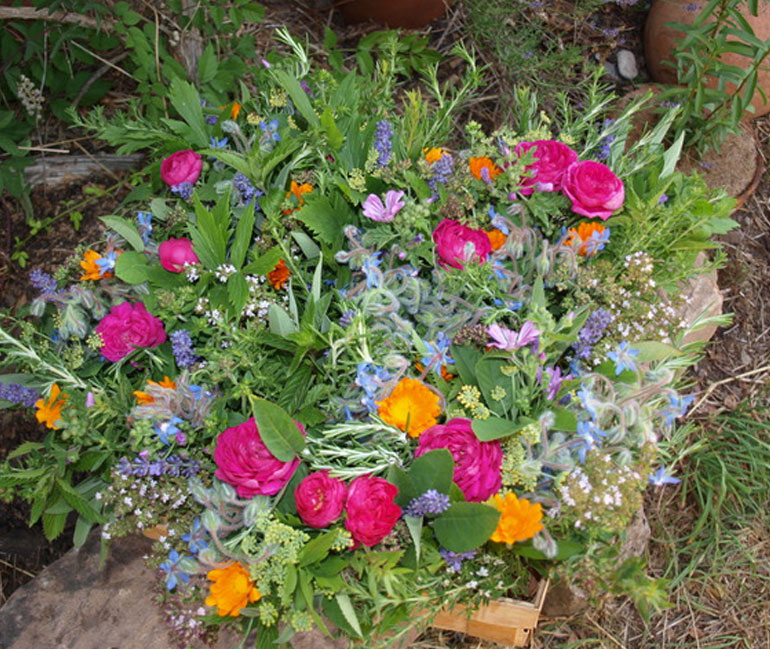 Fabienne et Paul Saur - Pollen - Bouquet de fleurs à croquer -Pollen