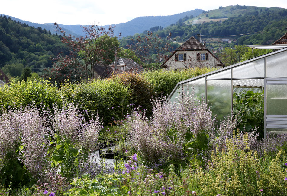Jardin de vivaces et d’aromatiques