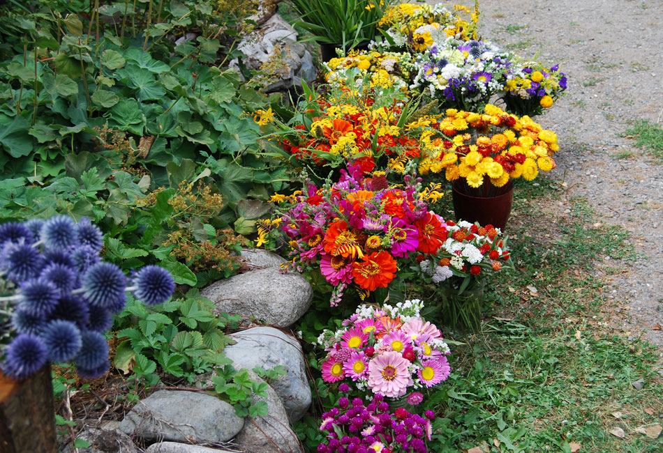 Bouquets décoratifs