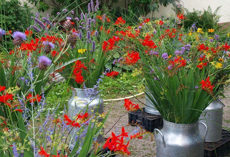 Grands bouquets