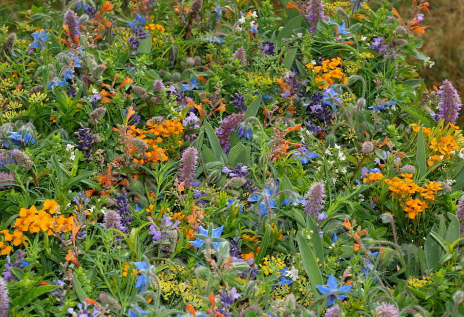 Bouquets à croquer pour un mariage