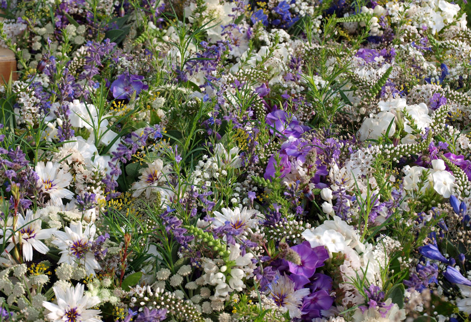 Décoration de mariage blanc et bleu